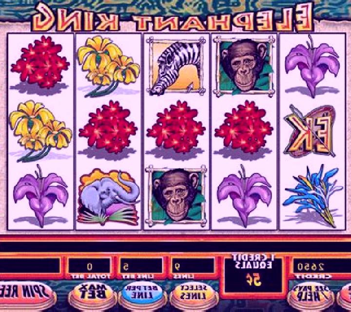 Elephant King slot game