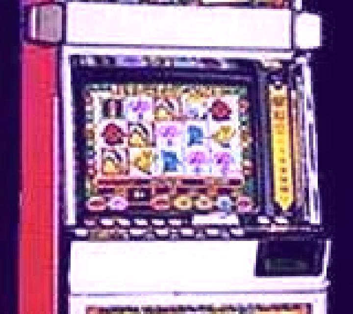 Elephant King slot machine
