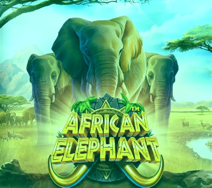 Elephant Scratch slot game