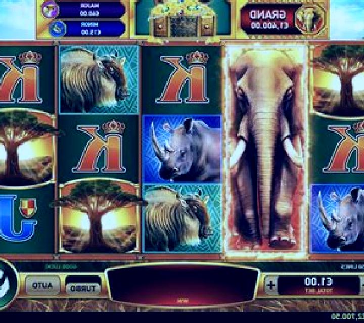 Elephant Stampede slot machine