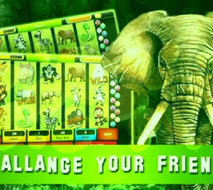 Elephant Treasure slot machine