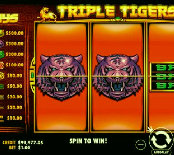 Elephants vs Tigers slot game