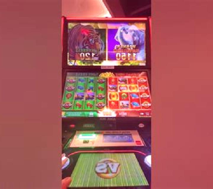 Elephants vs Tigers slot machine
