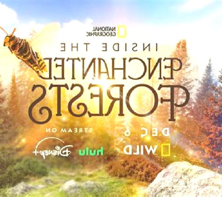 Enchanted Prince 2 slot game