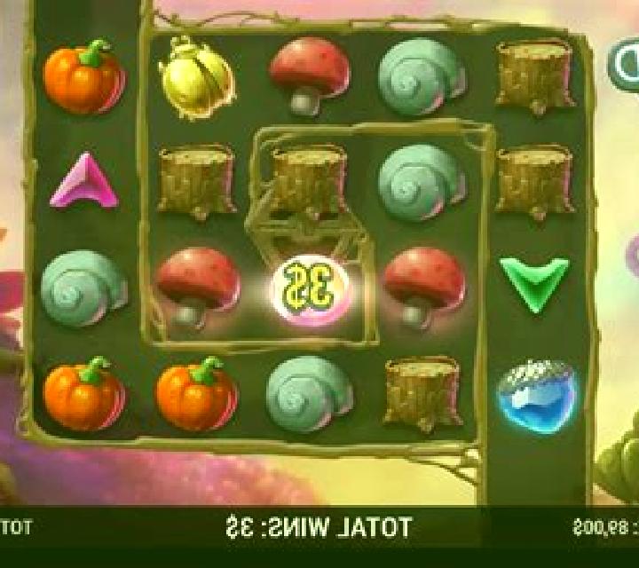 Enchanted Winnings slot game