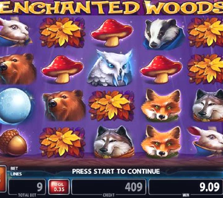 Enchanted Woods (CT Gaming) online slot