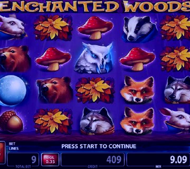 Enchanted Woods (CT Gaming) slot game