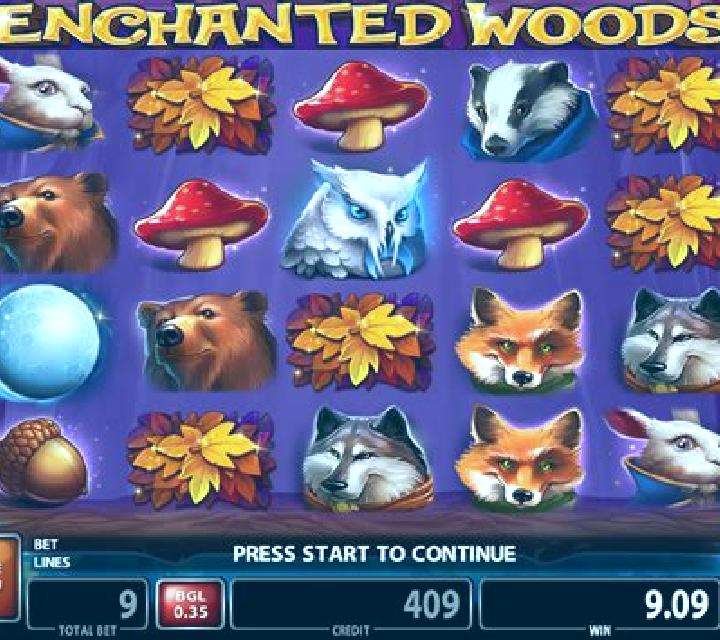 Enchanted Woods (CT Gaming) slot machine
