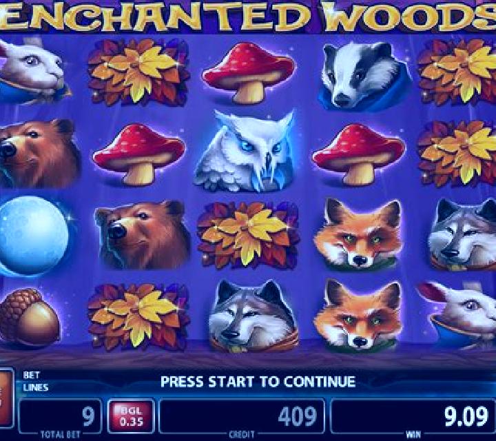 Enchanted Woods (CT Gaming) slot