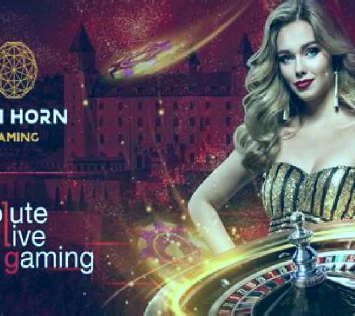 European Roulette (Tom Horn Gaming) slot game