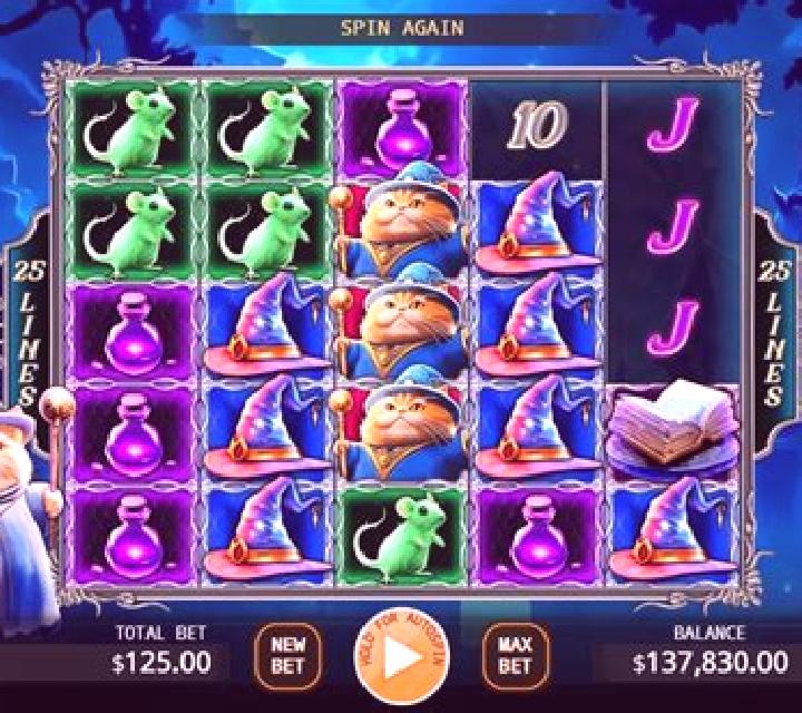 Evil Wizard Cat slot