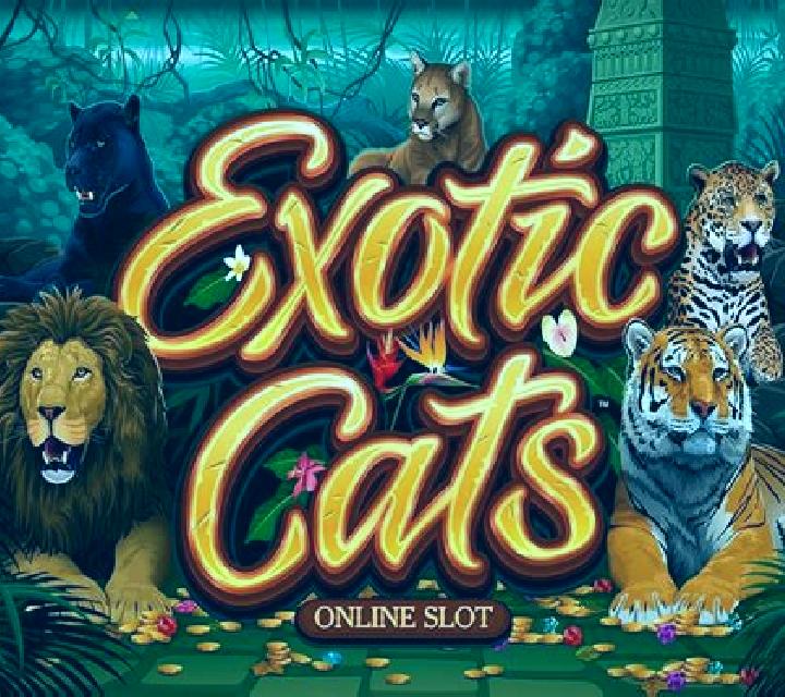 Exotic Cats online slot