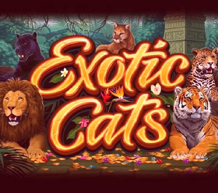 Exotic Cats slot machine