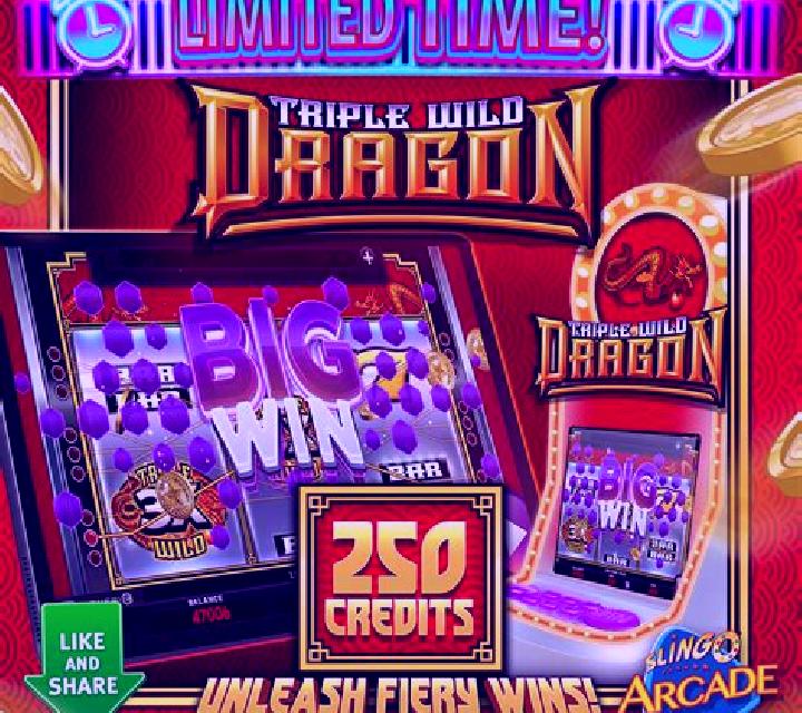 Extra Wild Dragon slot machine