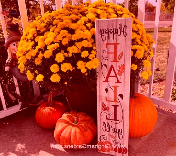 Fall or Fortune slot