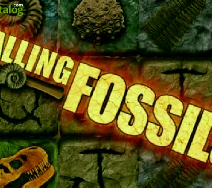 Falling Fossils slot