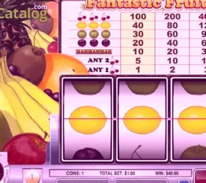 Fantastic Fruit Machine slot