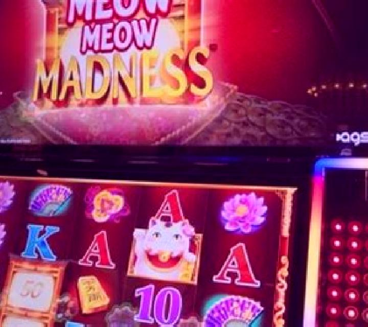 Farm Madness slot machine