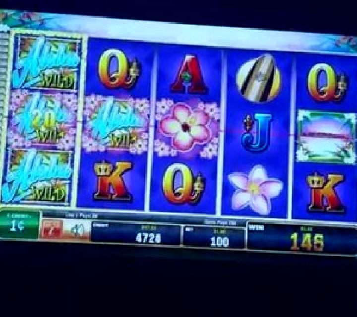 Farmers Delight slot machine