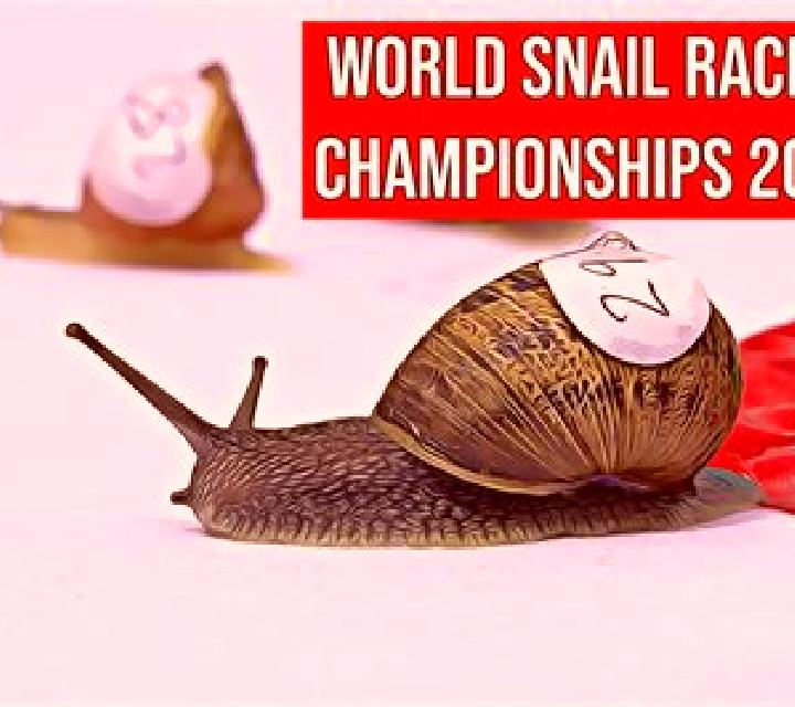 Fast Snail Racing online slot