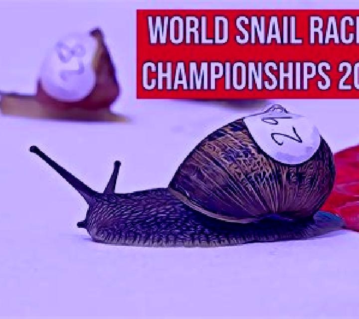 Fast Snail Racing slot game