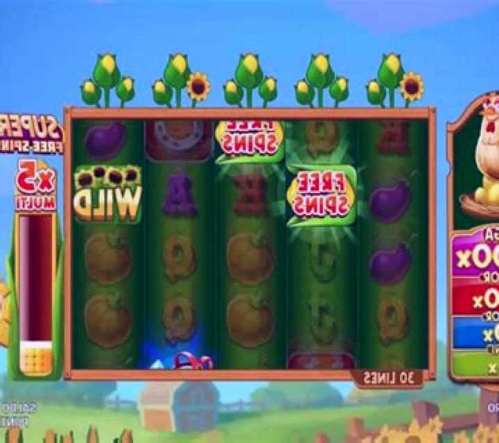 Fattoria D Oro slot machine