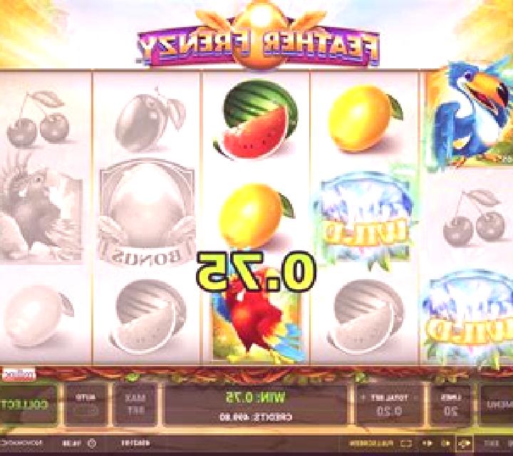Feather Frenzy slot game