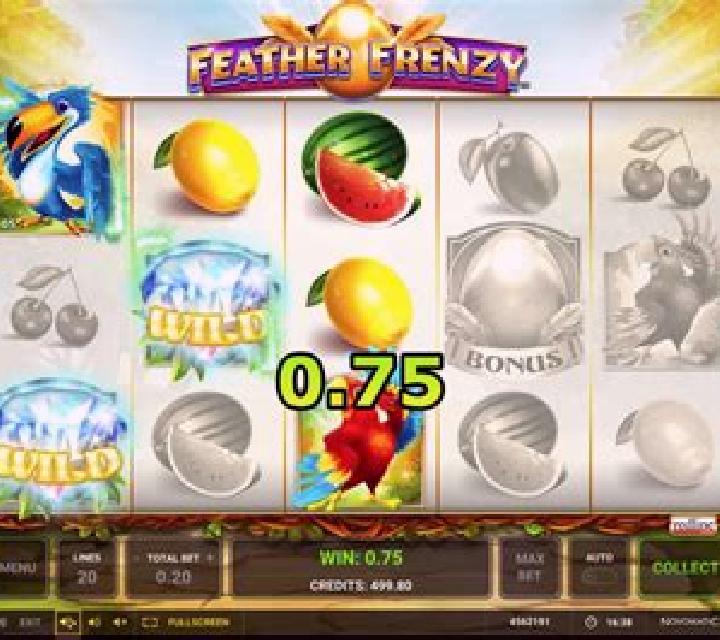 Feather Frenzy slot machine