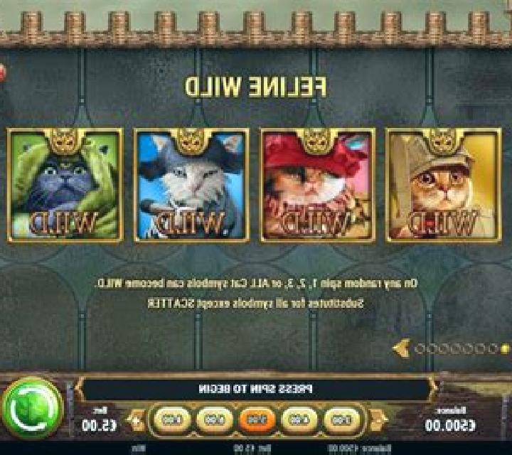 Feline Fury online slot