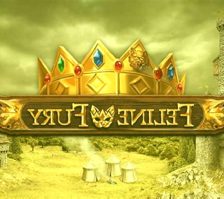 Feline Fury slot game