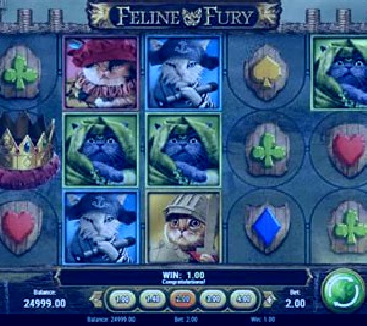 Feline Fury slot machine