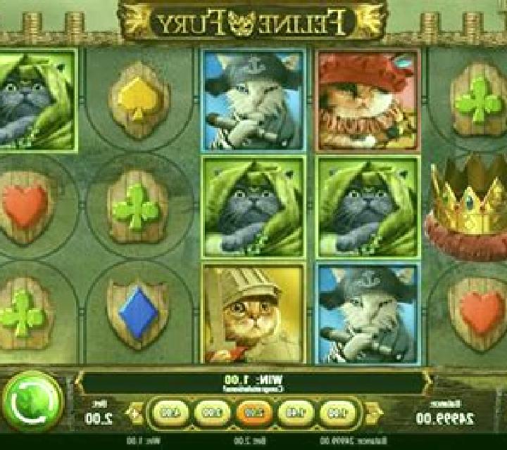 Feline Fury slot