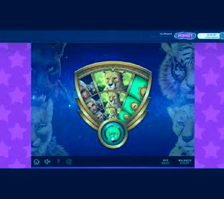 Feline Queen slot game