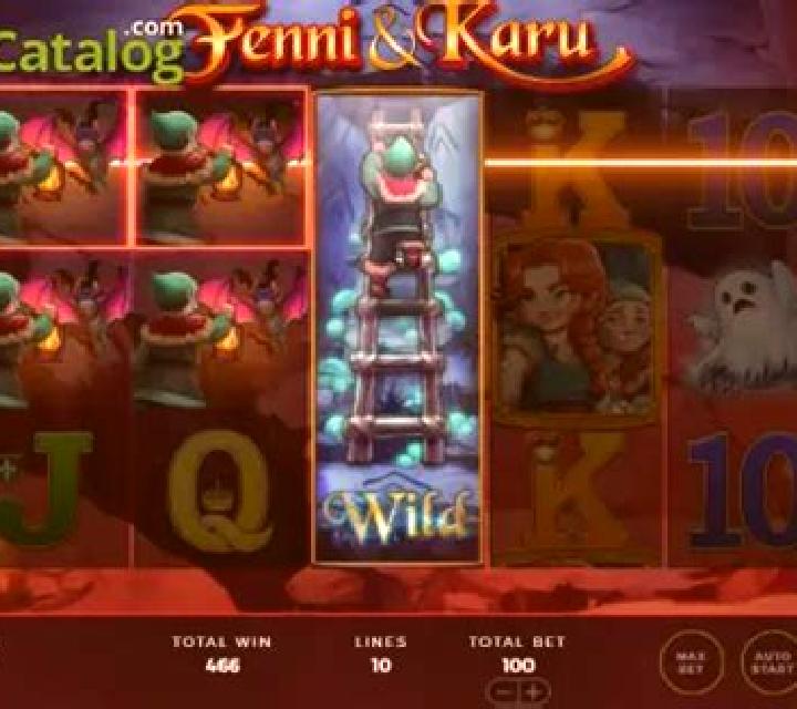 Fenni & Karu slot machine