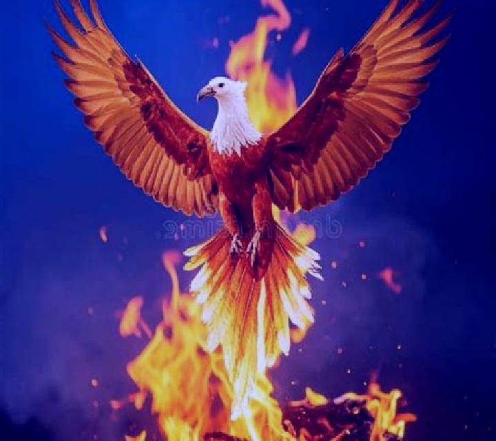 Fire Eagle slot