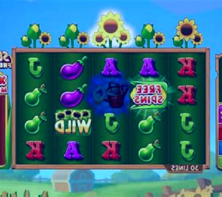 Fire Fields online slot