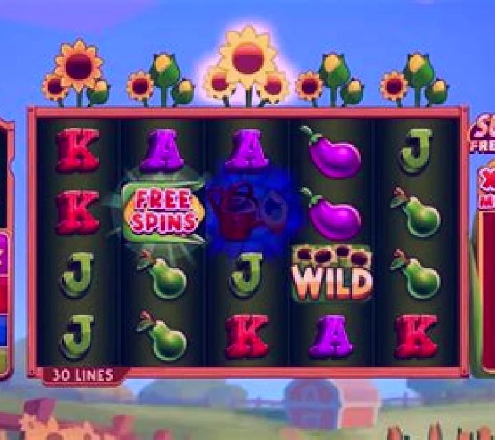 Fire Fields slot game