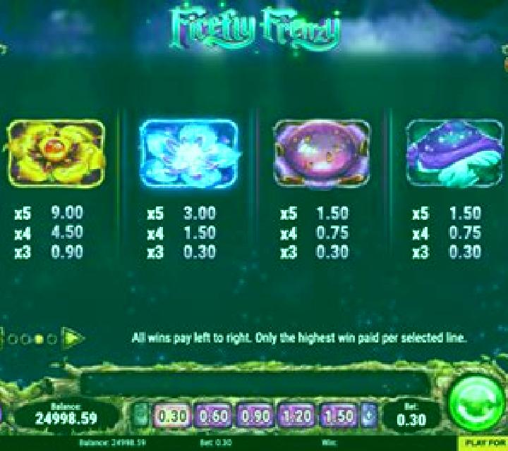Firefly Frenzy slot game