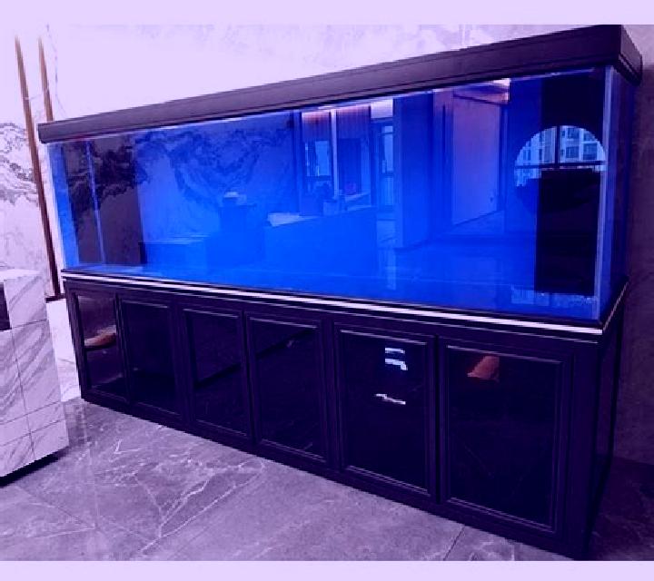 Fish Tank (155) slot
