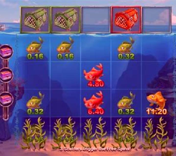 Fishing Pro: Reel Collect slot