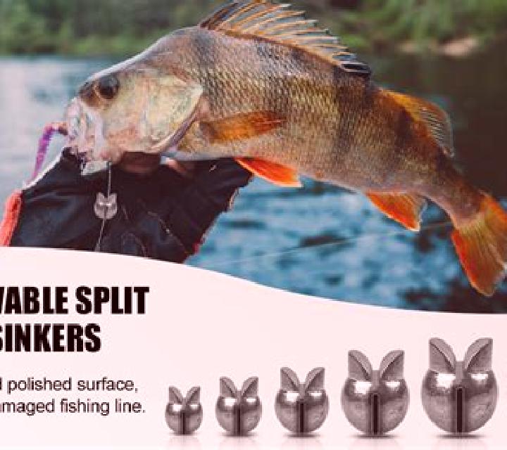 Fishing Split online slot