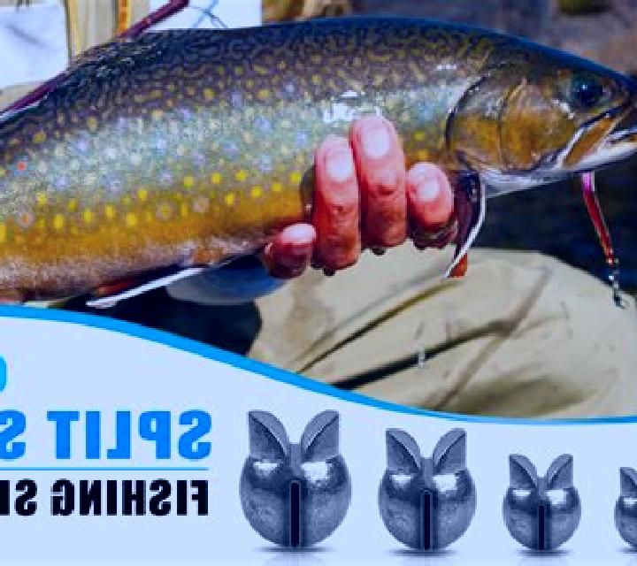 Fishing Split slot