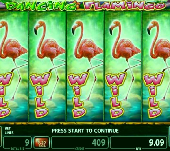 Flamingo slot machine
