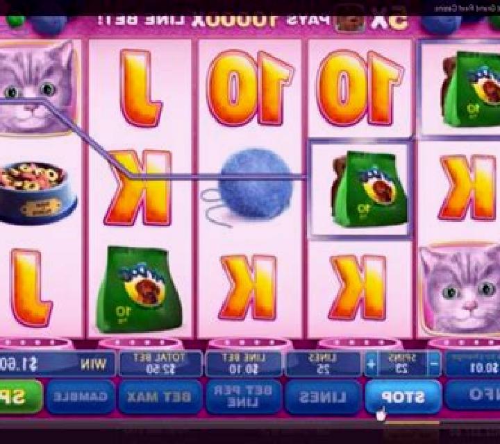 Fluffy slot machine