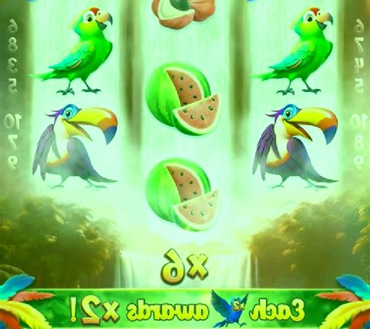 Fly Bird slot game