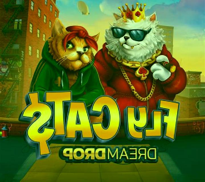 Fly Cats Dream Drop slot game