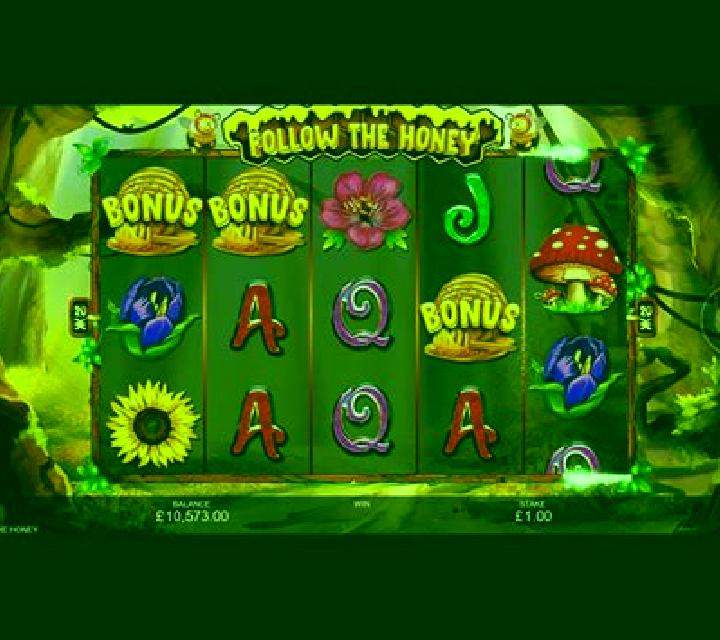 Follow The Honey slot machine