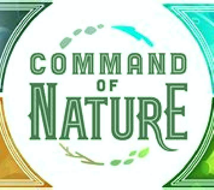 Forces of Nature online slot