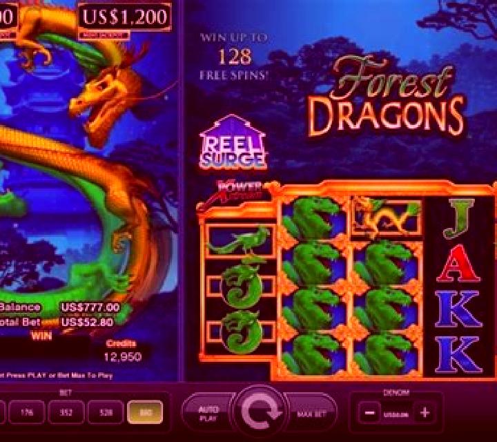 Forest Dragons slot