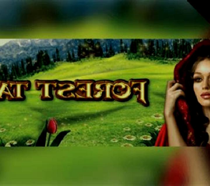 Forest Tale slot game